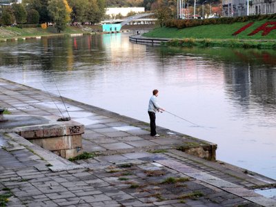 Lašišų žvejyba Neryje pire Žaliojo tilto