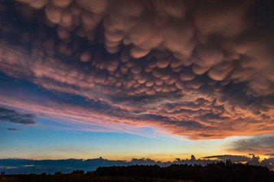 Rasitos nuotrauka, Tauragės rajonas