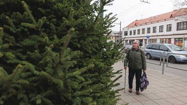 Kaunietės dovanotą eglutę kviečiama papuošti tūkstančiu žaisliukų