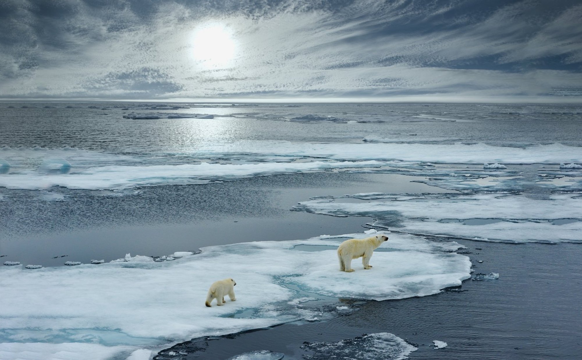 Is the Earth Sick, and Are We With It? Lithuania's First Study Uncovers Ecological Anxiety