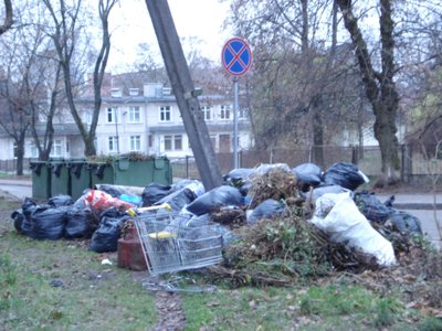 Šiukšlynas Giedraičių gatvėje