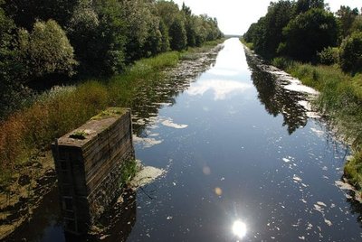 Karaliaus Vilhelmo kanalas