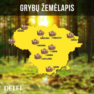 Grybų žemėlapis