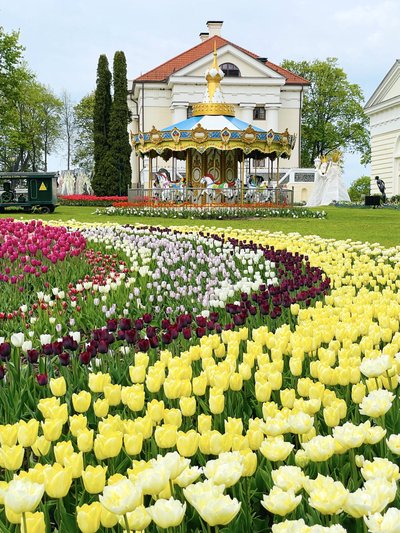 Pavasario gėlių ir tulpių festivalis „Pavasario simfonija“