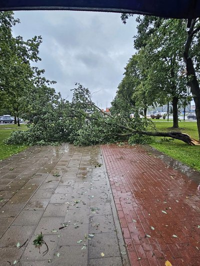 Pirmadienio ryto vaizdai Šiauliuose