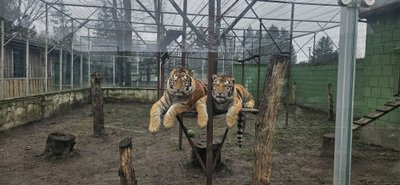 Klaipėdos zoologijos sodas