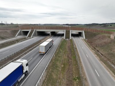 Kokie gyvūnai jau naudojasi žaliuoju gamtos tiltu Via Baltica kelyje?