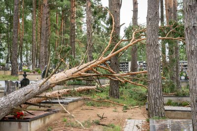 Praūžusi audra nusiaubė Panevėžio kapines