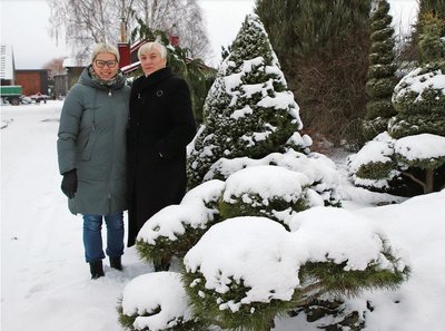 „Deglėnuose man patinka“, – tikina Ramunė Morkevičienė