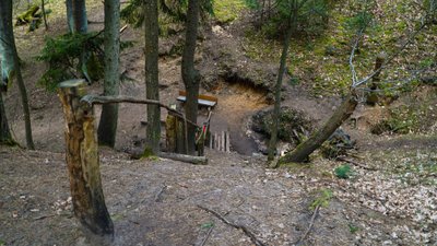 Vienas iš šaltinių Kleboniškio miško parke