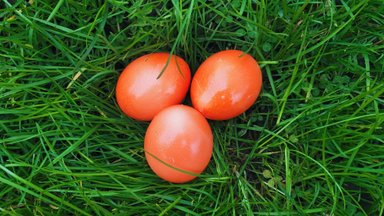 Ryškiai oranžiniai margučiai: dažant reikės 2 ingredientų, kuriuos rasite savo virtuvėje