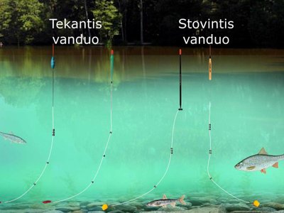 Schema. Plūdinė žūklė, kai svareliai arba jų grupės išdėstomi tarpais