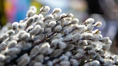 Sinoptikai pateikė naujausią prognozę – daugėja gerų žinių