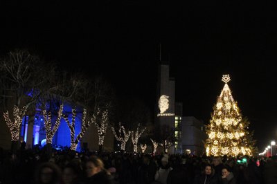 Alytaus pagrindinė eglutė