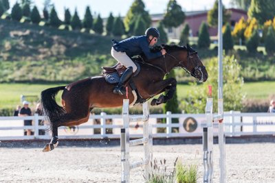 Ketvirtadienį – vienas laukiamiausių žirgų sporto renginių Lietuvoje: pasaulio taurės etapas Vaizgaikiemyje