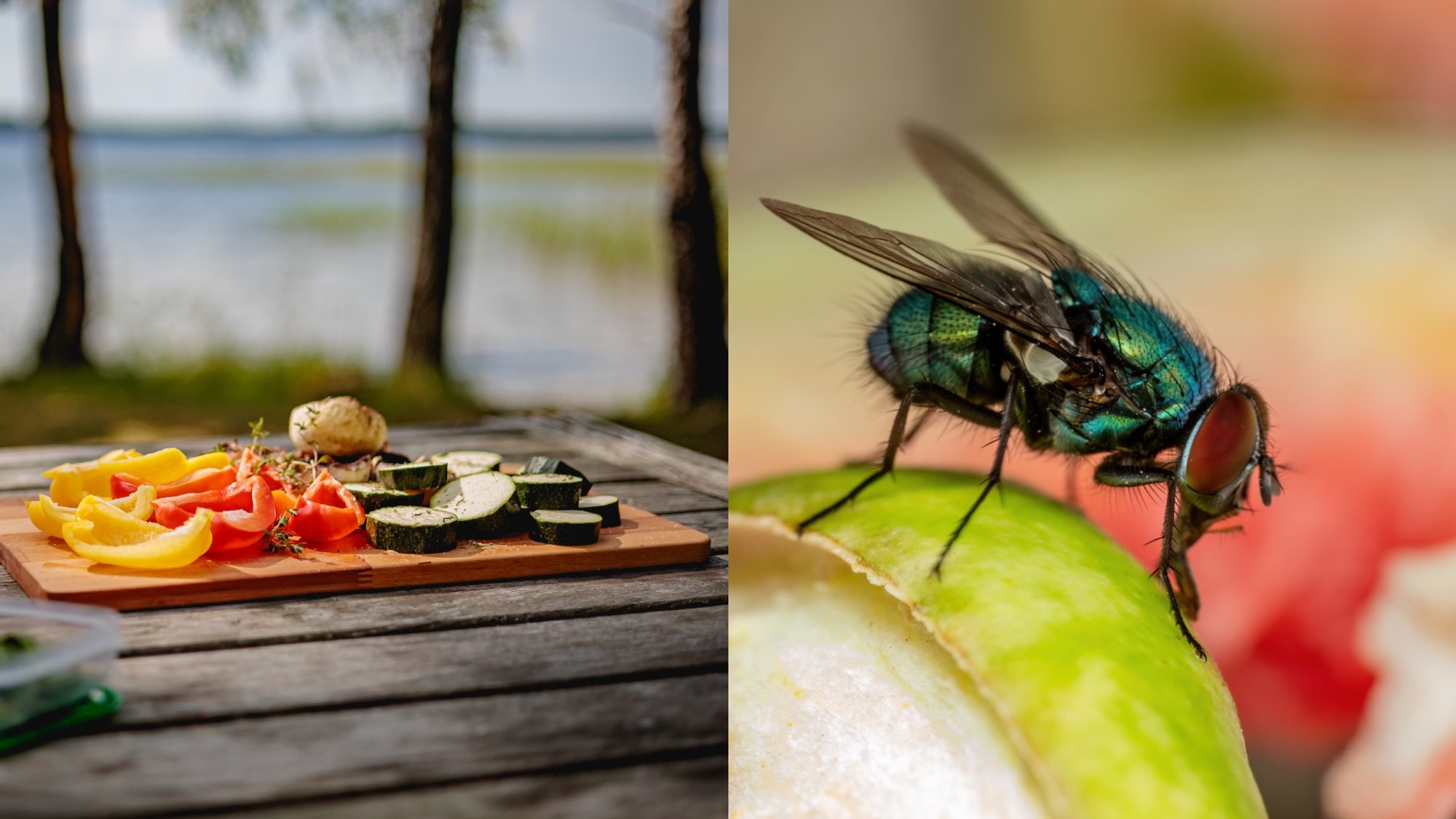 Simple trick using frozen ingredients can deter flies from drinks and food