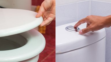 Vandens nuleidimas tualete – tik uždarius dangtį? Ekspertai pateikė faktus