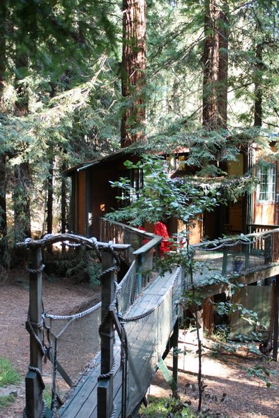 Mary Jane (Redwood Treehouse Rent) nuotr. 