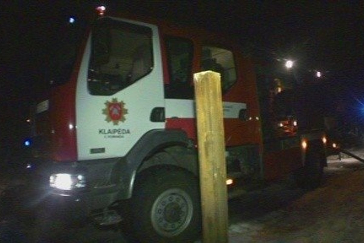 Klaipėdoje sudegė gyvūnų prieglauda, žuvo visi gyvūnai - Delfi TV