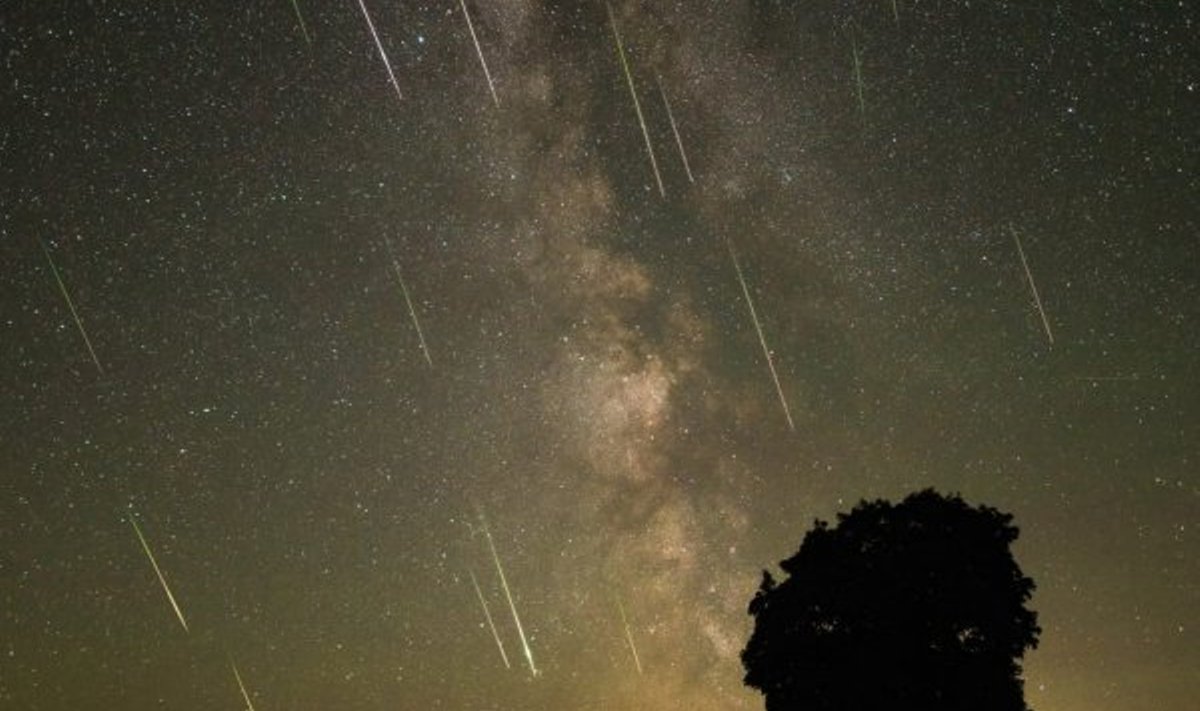 Perseidų meteorų lietus Ignalinos r. Vaido Tarulio nuotr.