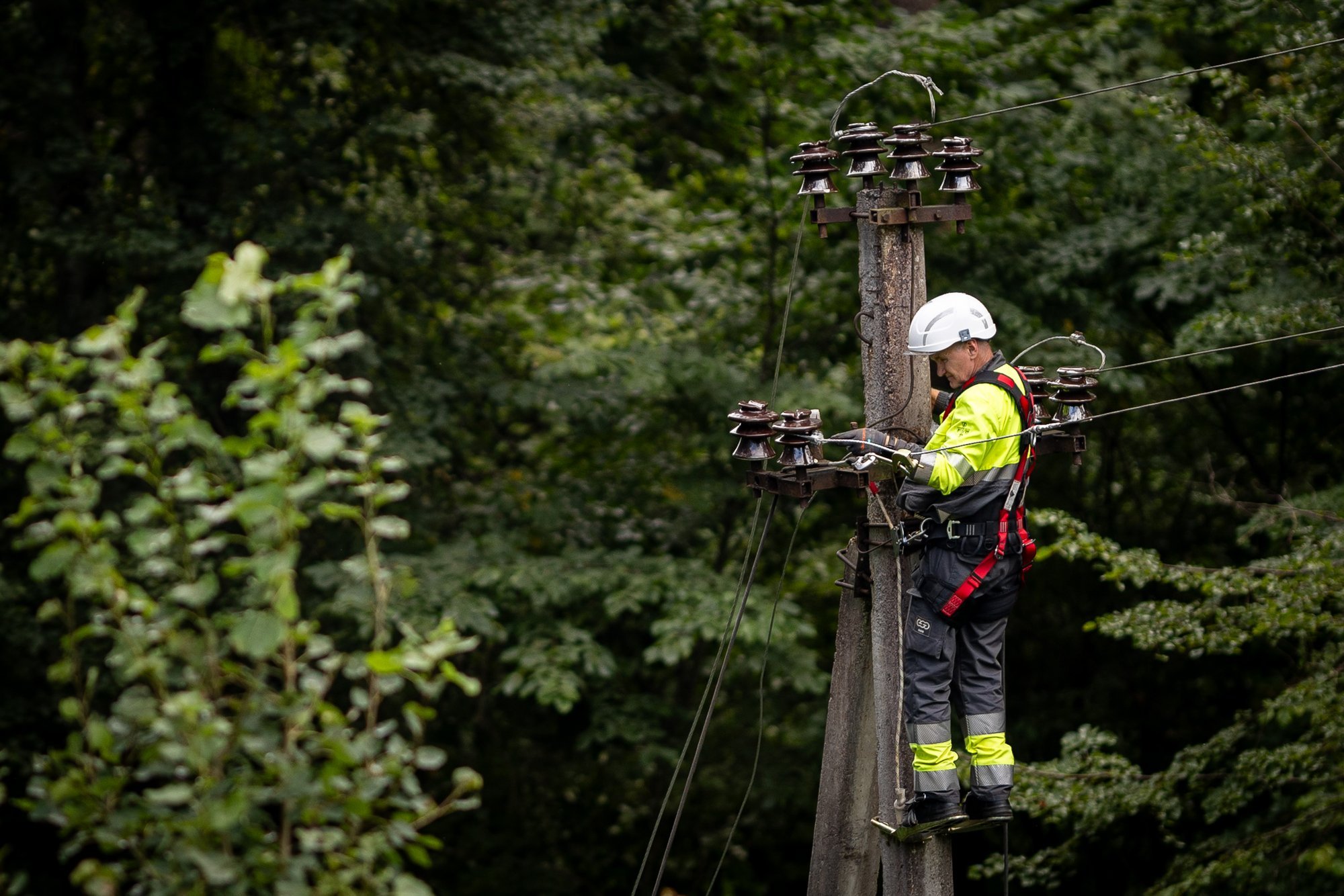 Lithuania: 1,000 locations still without power after storm