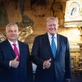 Su kuo Trumpas susikalbės Europoje – kas be Orbano galės užmegzti ryšį su naujuoju JAV prezidentu?