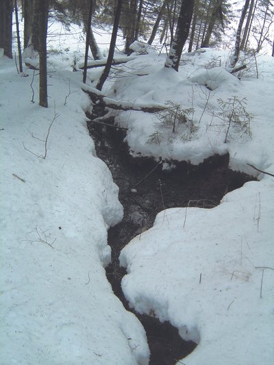 Šaltinių kalnelis