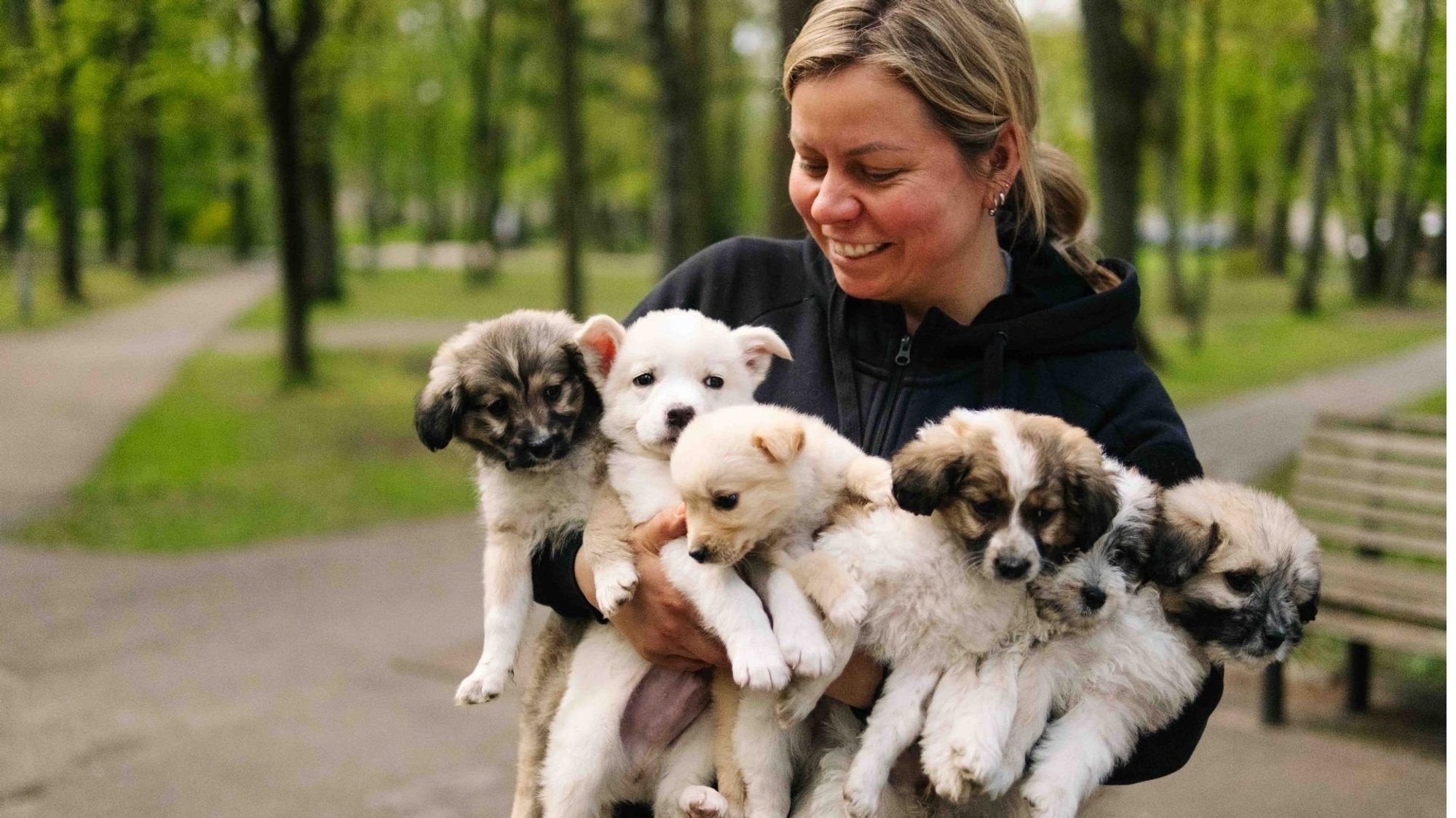 Animal Shelter Invites Public for a Day of Education and Fun with Pets