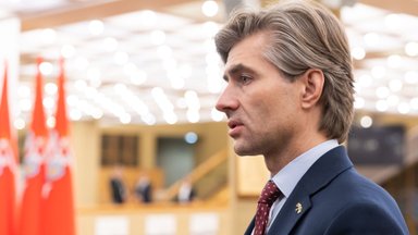 Budrys: paliaubas vilkinantis Putinas tyčiojasi iš tarptautinės bendruomenės