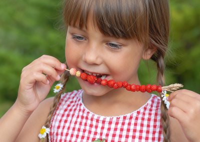 Mergaitė valgo žemuoges ant smilgos