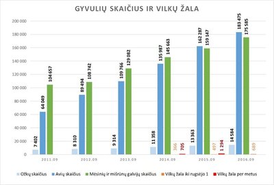 Vilkų padaryta žala ūkininkams