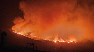 Tenerifėje kilo miško gaisras