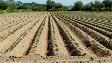 Parama žemės ūkio valdoms modernizuoti sieks 40 mln. eurų