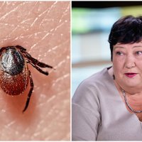 Specialistė – apie erkių įkandimo požymius ir laiką, kuris čia svarbus: kada ir ką daryti