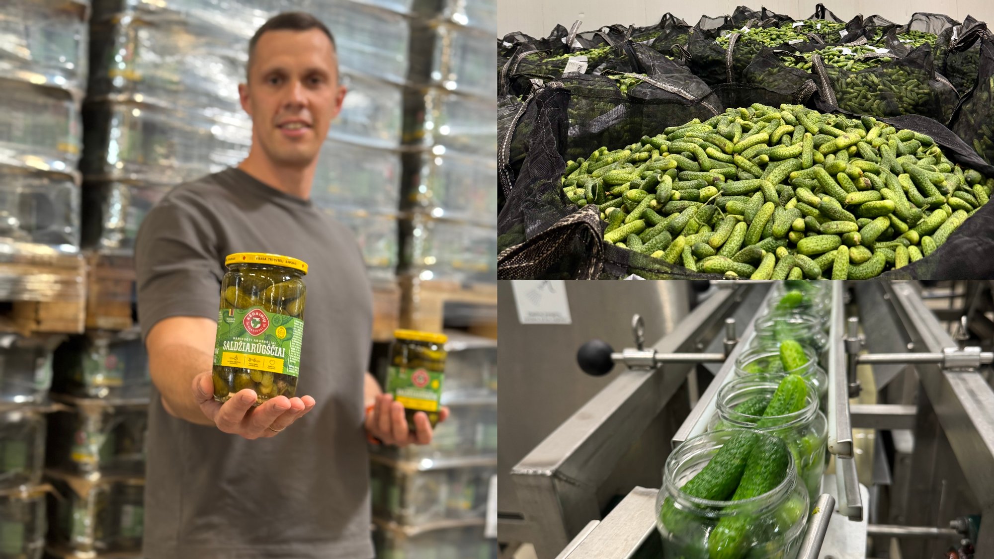Lithuania's Kėdainiai Cannery Aims for Record Pickle Production