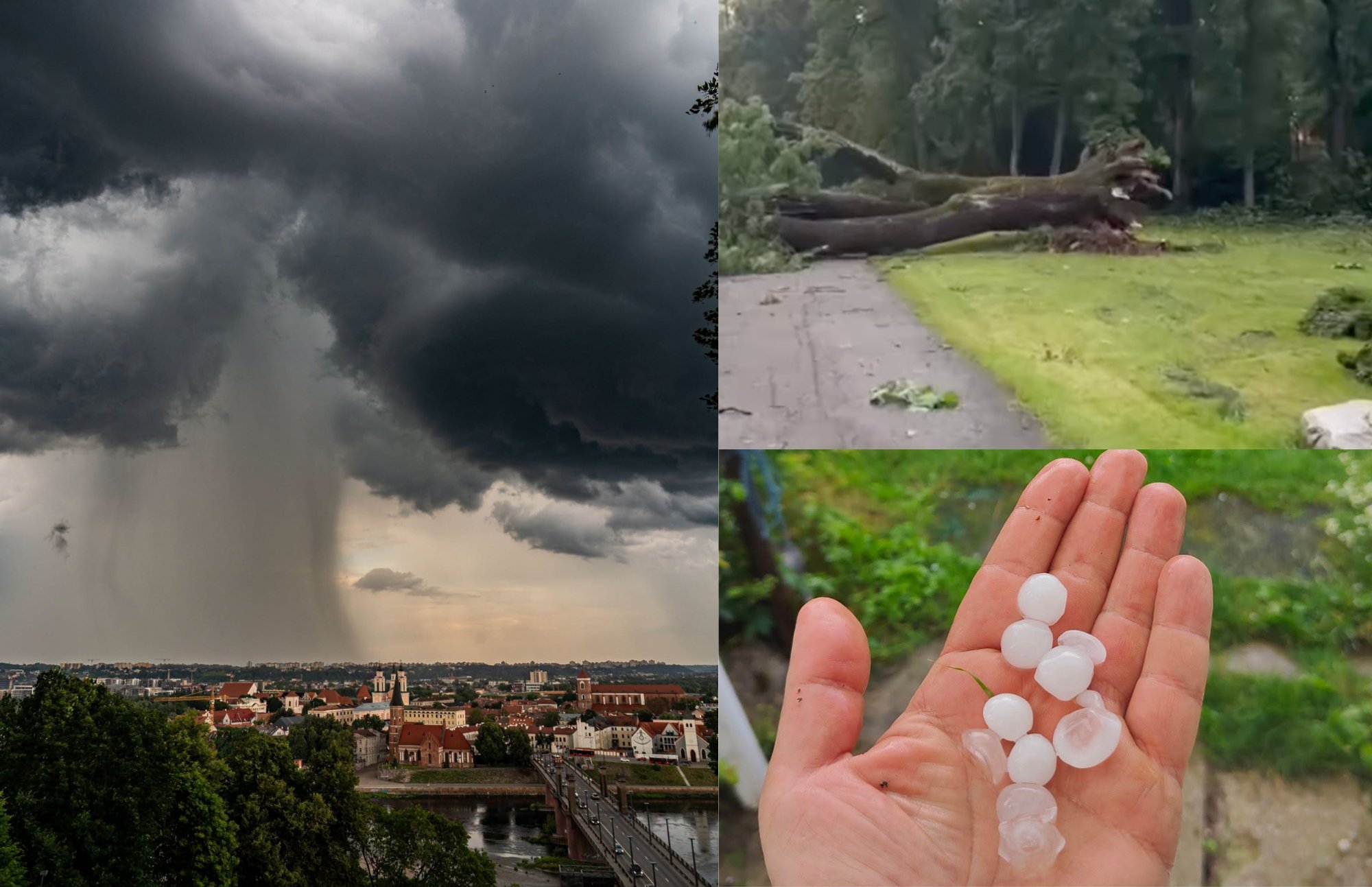 Lithuania battered by powerful storm; thousands left without electricity