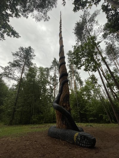 Į Gineso rekodrų knygą patekusi ąžuolinė skulptūra „Eglė žalčių karalienė”. 