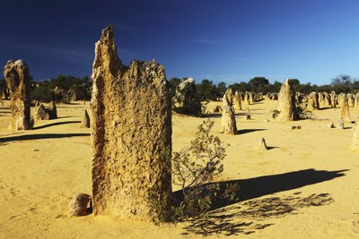 Smailių dykuma (Pirštuotoji dykuma), Australija