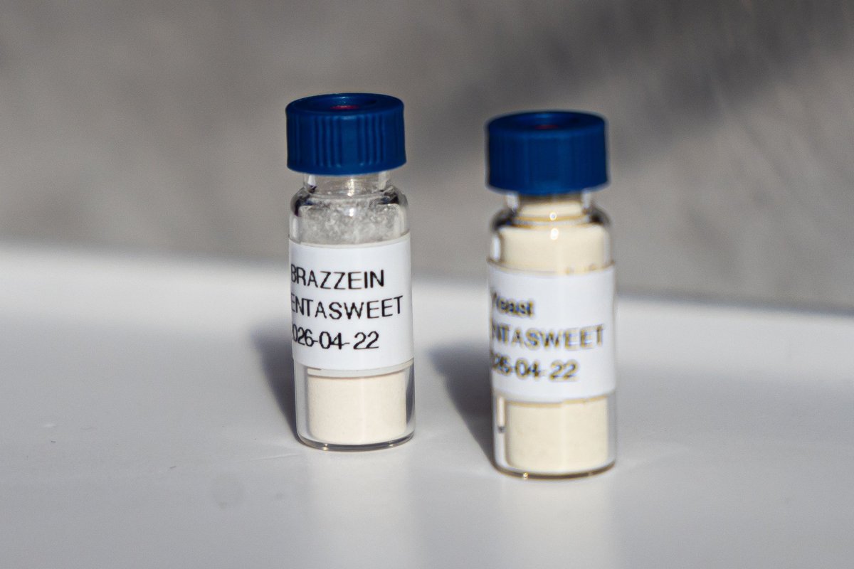 Foundations laid for Europe’s first sweet protein facility in Vilnius