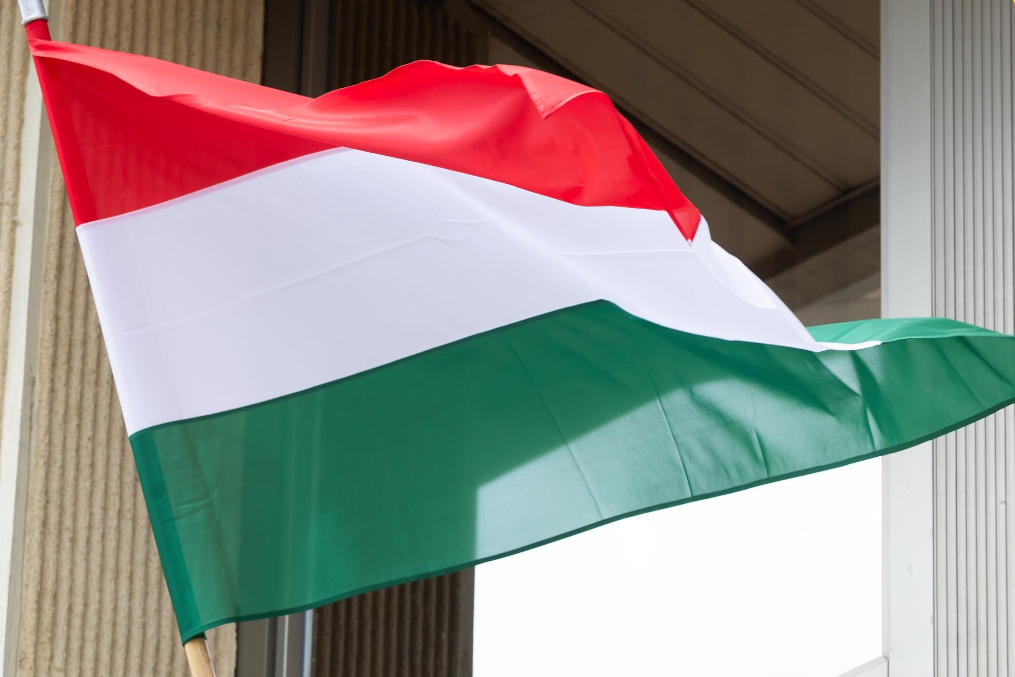 Orban critic Baka nominated as presidential candidate in Hungary