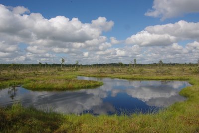 Aukštumalos peklė 