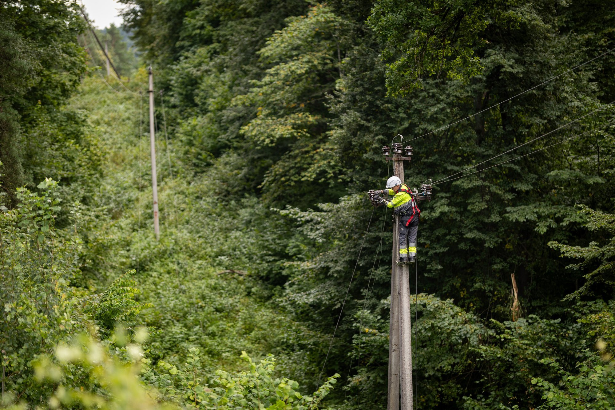 Faster electricity cabling would cost 0.5 billion euros and could affect business