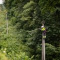Spartesnis elektros kabeliavimas kainuotų 0,5 mlrd. eurų ir gali paveikti verslą