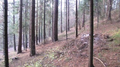 Barsukyno ozas (Kurtuvėnų regioninis parkas)