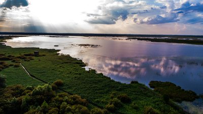 Žuvinto biosferos rezervatas (A. Lavrėnovo nuotr.)