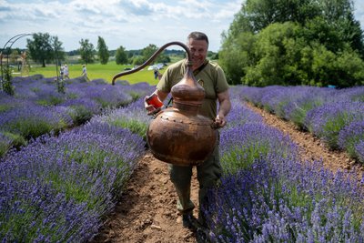 Levandų grožio užburti svečiai kasmet sugrįžta į festivalį atokiame Dzūkijos kaimelyje