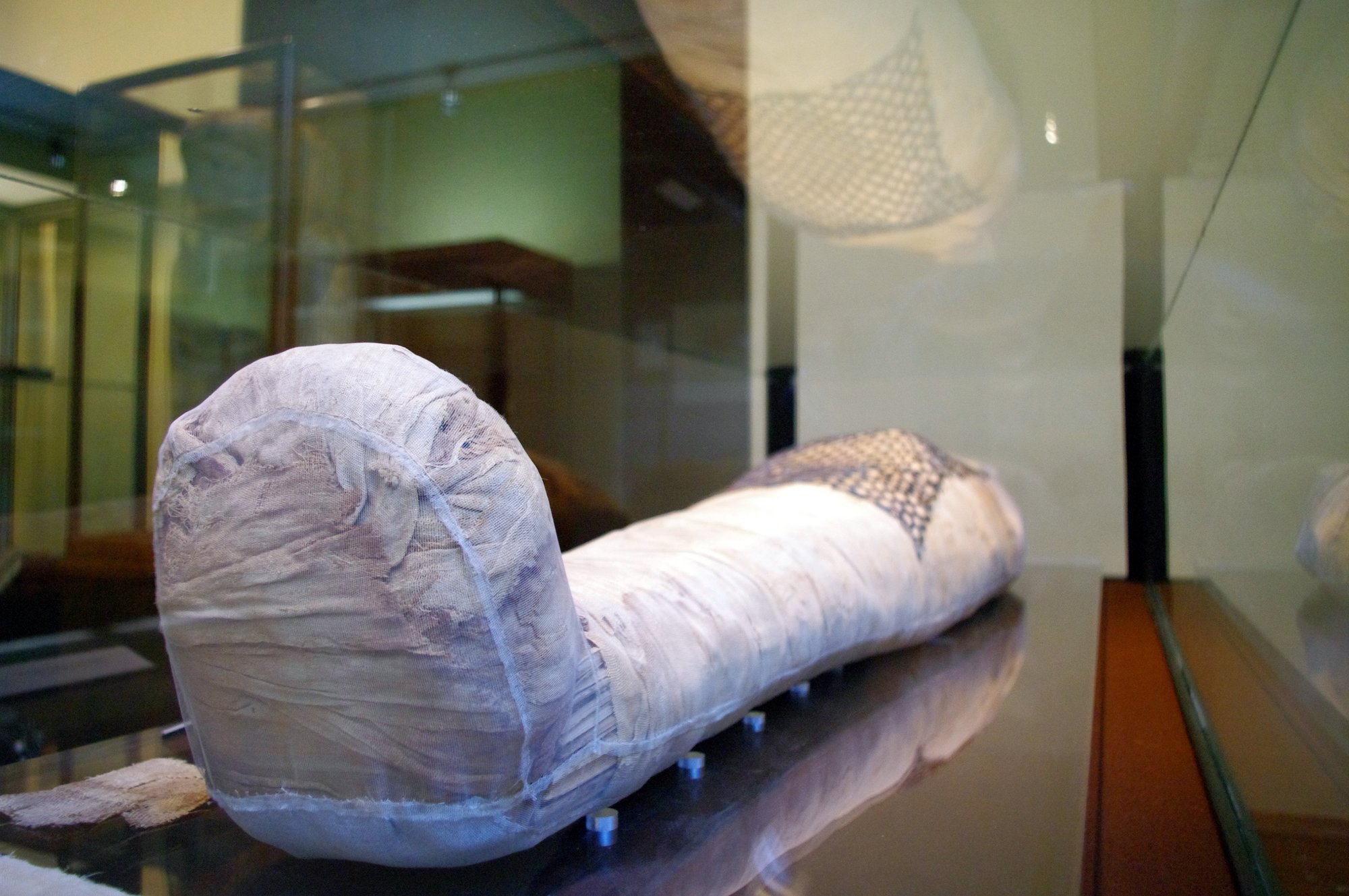 Ar galėjo pirmoji Lietuvos egiptologė suklastoti Kauno mumijos istoriją ...