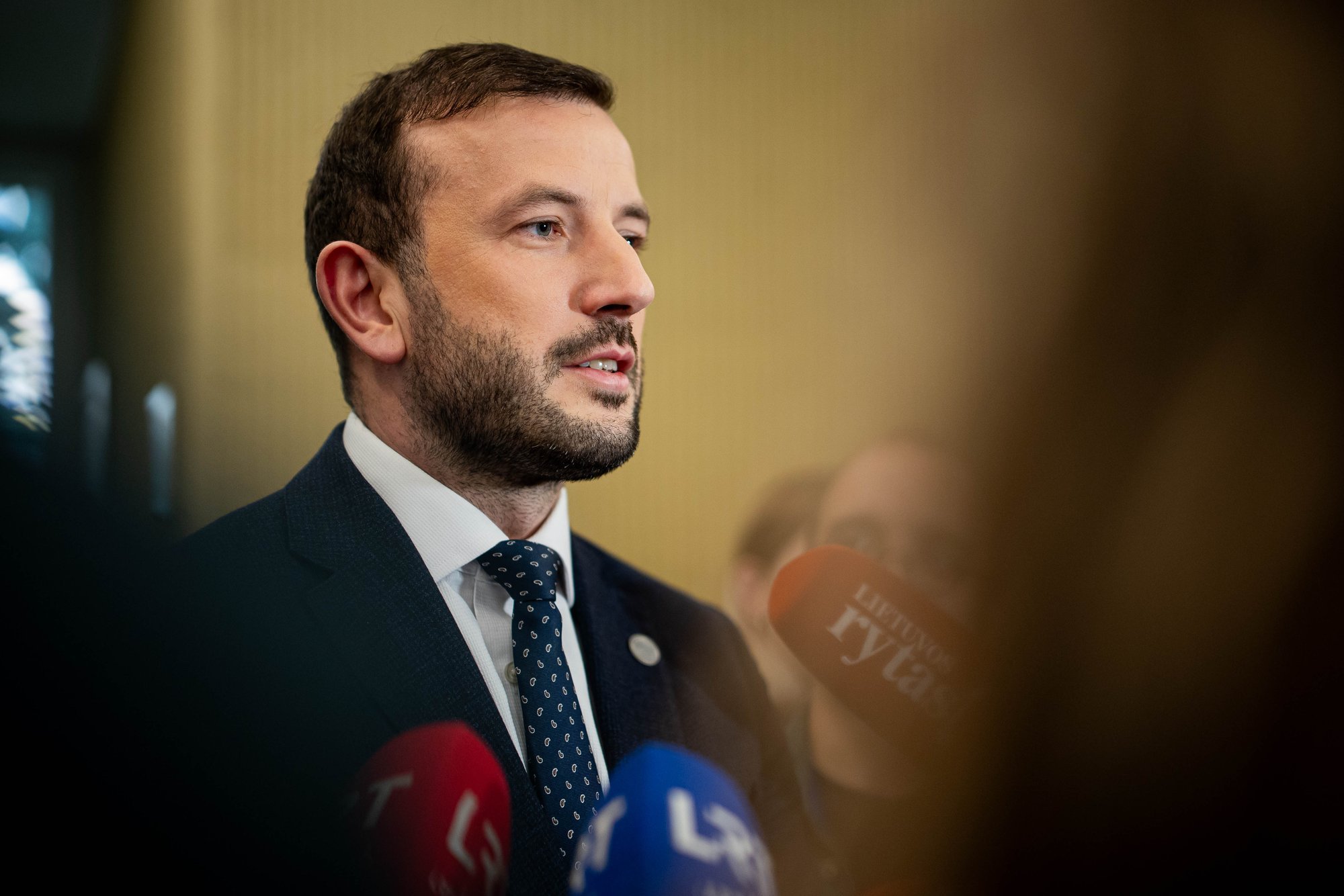 Lithuanian Democrats Identify Ministerial Candidates, Eye Coalition Agreement Signing