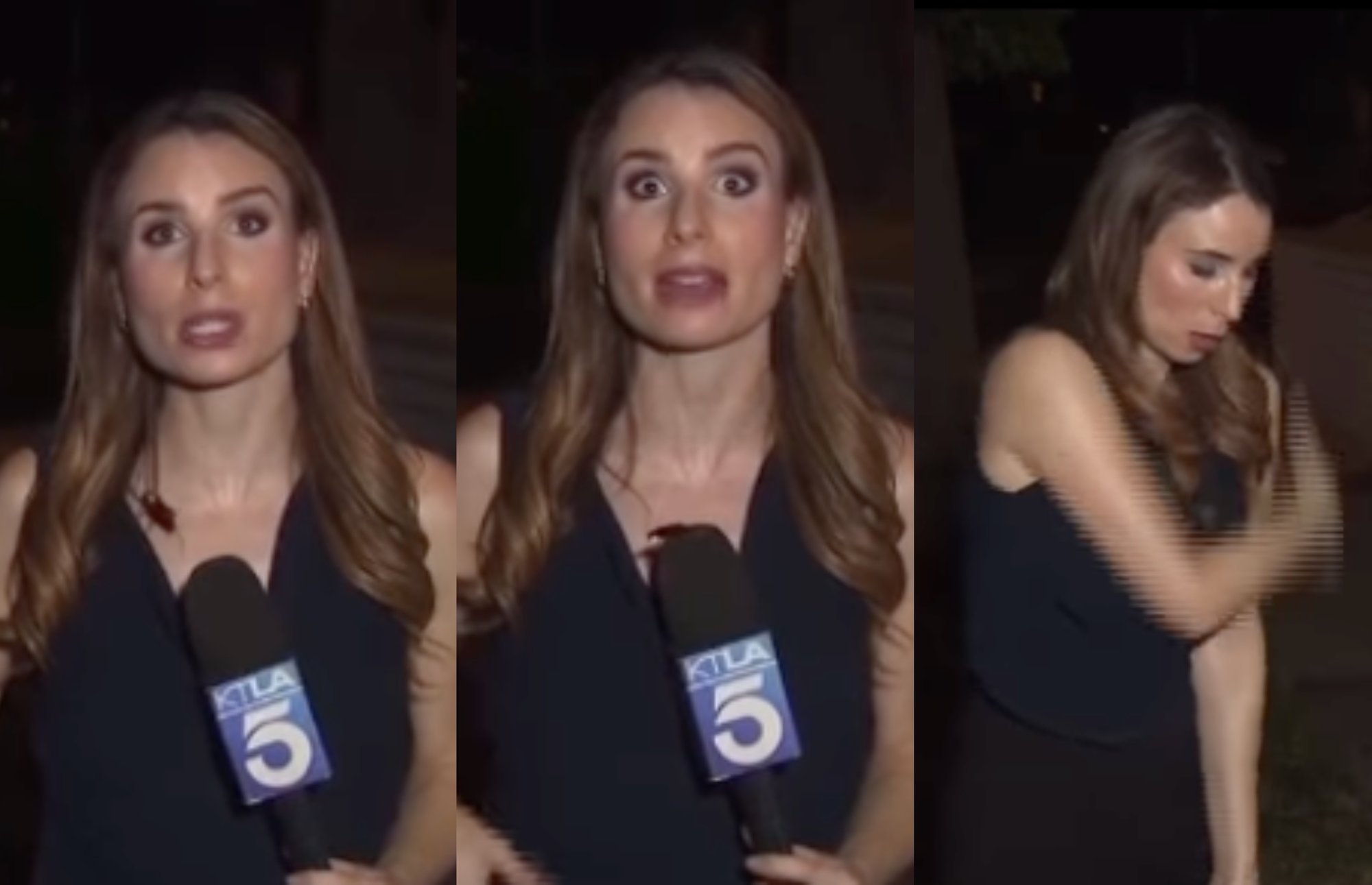 Journalist continues live report as cockroach crawls on her, viewers call for raise
