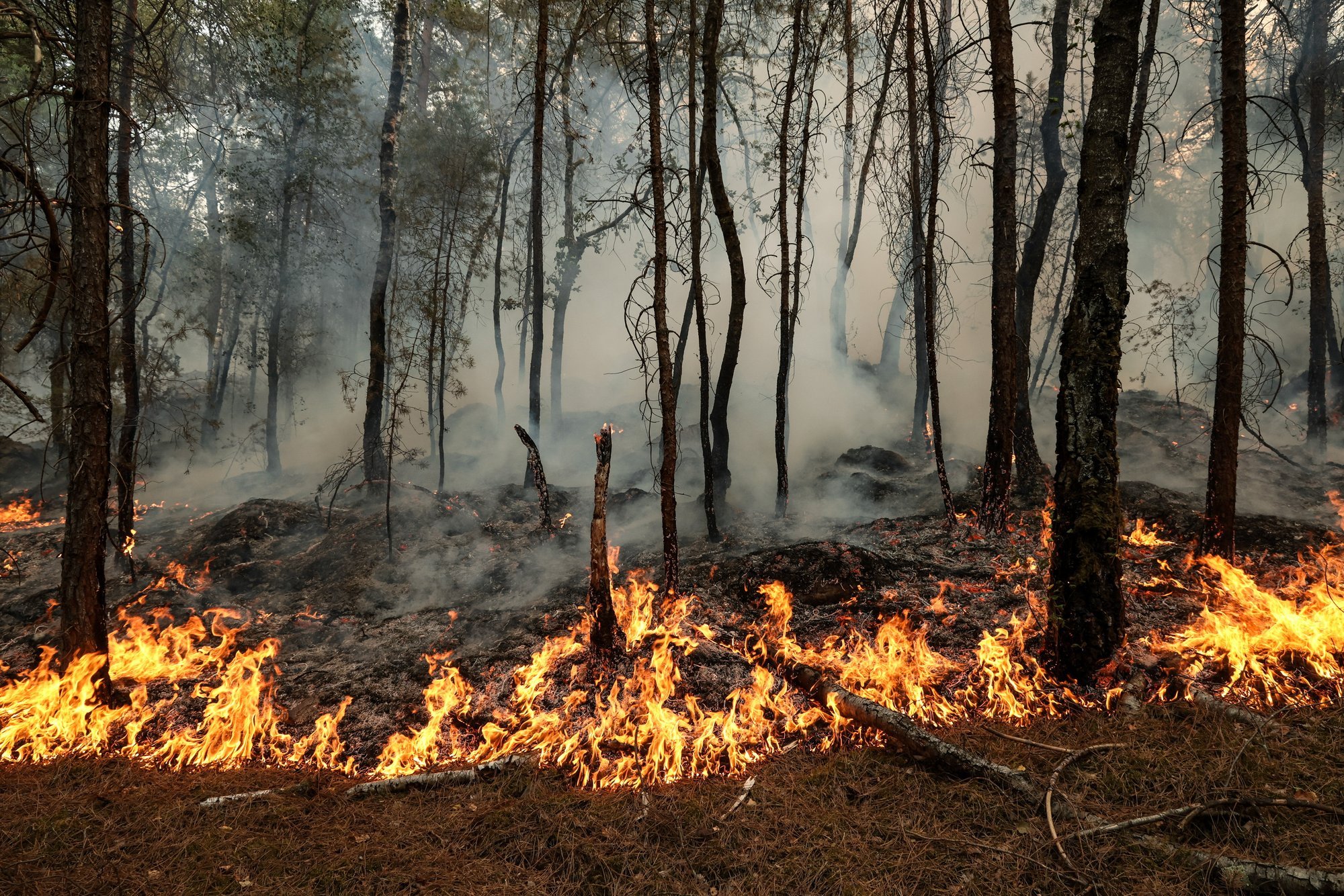 Southern France wildfire contained after burning 2,550 hectares